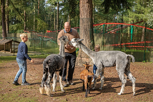 Magic Park Verden Familie 005